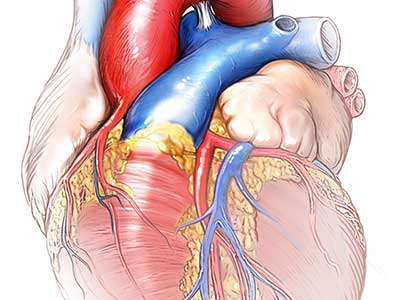 Medical Legal Art
